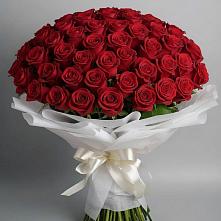 Букет 101 Красная роза Блэк Мэджик в Рузе