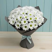 Букет цветов из:  Хризантемы #REPLACE_PRED# Рузе
