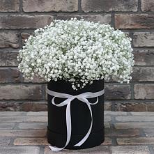 Цветочная композиция из Гипсофила в шляпной коробке #REPLACE_PRED# Рузе