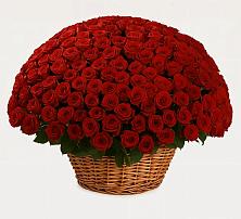 Премиум букет из: Розы в Рузе